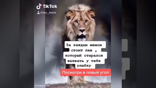Топ цитат от льва. смотреть онлайн