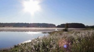Озеро Кузнецовское, Талдомский район, Московская область