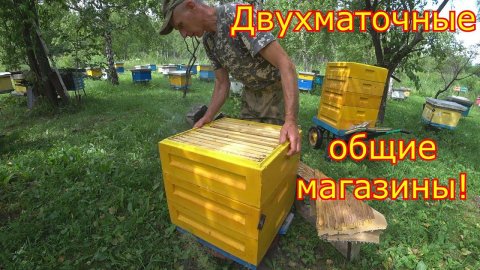 ДВУХМАТОЧНЫЕ!!! Ставим ОБЩИЕ магазины! Расширение на главном взятке!