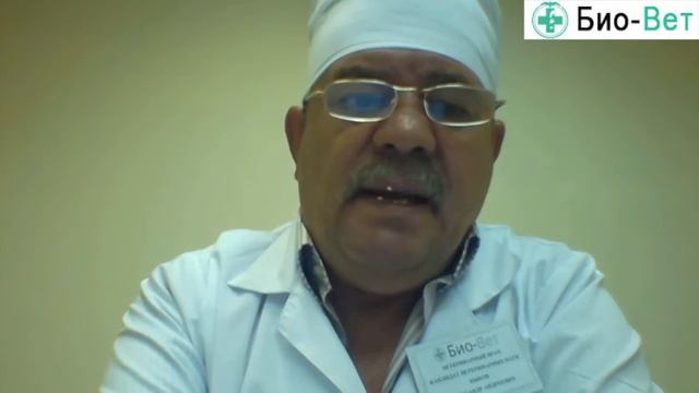 Анализ кала на протозоозы смотреть онлайн