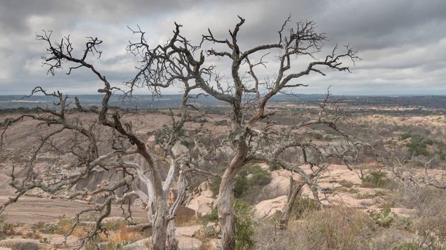 Yaro Masih Waqt l Urdu Nazm (Poem) смотреть онлайн