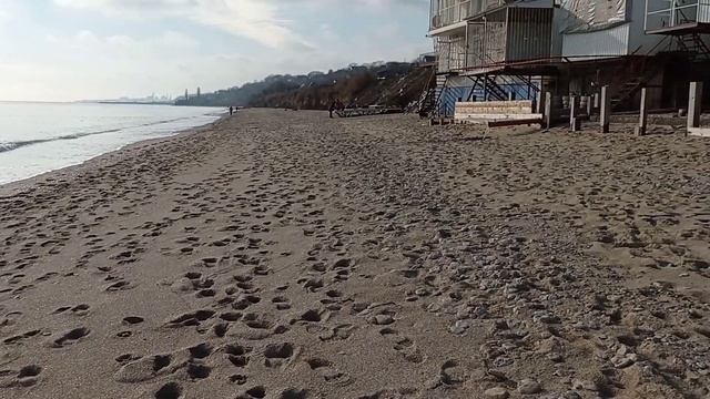 ВЕСТ ХАЙЛЕНД УАЙТ ТЕРЬЕР - наш жизнерадостный друг. смотреть онлайн