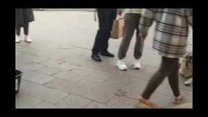 Приют " Собачий рай". Москва