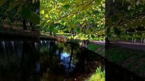 Уж небо осенью дышало,Уж реже солнышко блистало!???