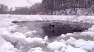 Рыбалка на паук (подъемник) в глухозимье, Испытание паука с Алиэкспресс!!!