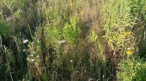 подземная дорога