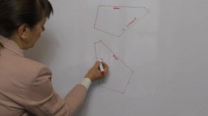 Выкройка комбинезона с рукавом реглан для собаки на скорую руку.