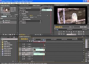 Эффект Прозрачности (Opasity) в Adobe Premiere Pro