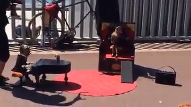 Выступление уличных артистов в Испании. смотреть онлайн