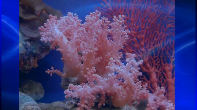 Снова по делам куда-то еду... смотреть онлайн