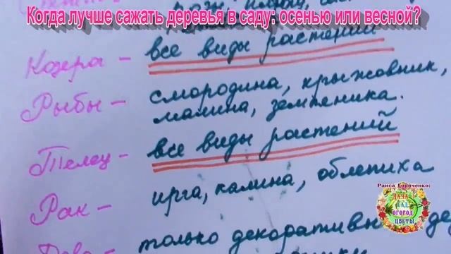 Когда лучше сажать деревья в саду: осенью или весной? смотреть онлайн