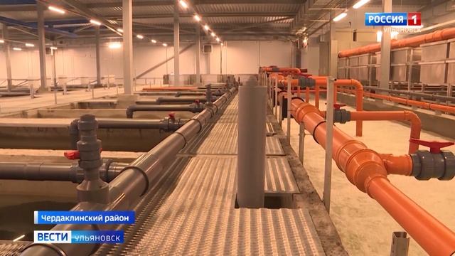 В Ульяновской области будут выращивать радужную форель по датской технологии. смотреть онлайн