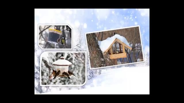 Птицы наши друзья Развитие речи 0 класс смотреть онлайн