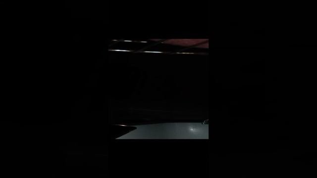 Выживание и видео.
