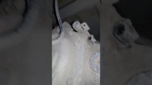 Не включается блокировка заднего моста NISAN NAVARA D40