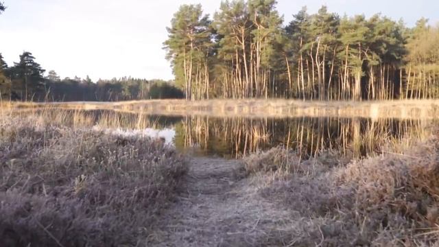 У неё был второй телефон... Невероятные истории измен. Истории из жизни. Аудио рассказ. смотреть онлайн