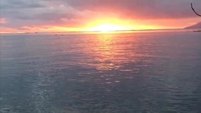 Flamengo - La caravane passe смотреть онлайн