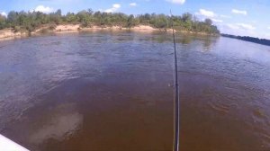 Рыбалка на Вятке в самую жару -  перекат и резинка