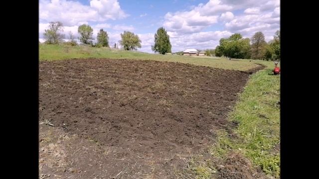 Как избавиться от пырея с наименьшими трудозатратами смотреть онлайн