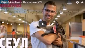 Антон Птушкин. Орёл и решка