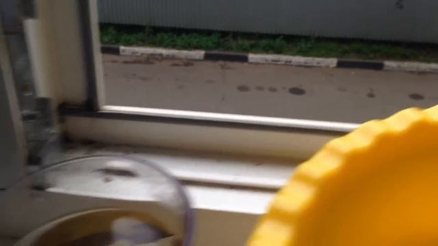 Промываем глаза собаке смотреть онлайн