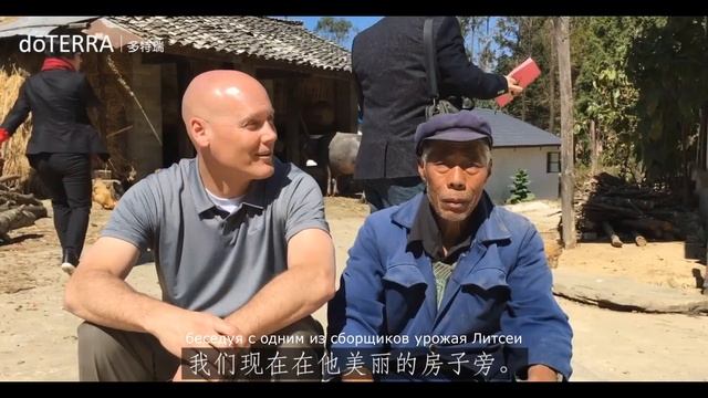 Как производят эфирное масло Литсеи Дотерра в Китае (Litsea Doterra)