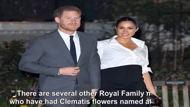 Meghan Markle to receive THIS tribute just like Kate and Princess Diana-Royal news смотреть онлайн