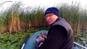 СМОТРЕТЬ!!!!КАРАСЬ НА МОРМЫШКУ С ЛОДКИ В КАМЫШАХ\\ЛЕТНЯЯ МОРМЫШКА\\СКОЛЬЗЯЩИЙ ПОПЛАВОК В ДЕЙСТВИИ