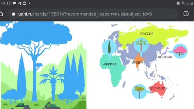 4 кл Растения и животные субтропической зоны. Природа. География. Окружающий мир. Ридель Алиса.