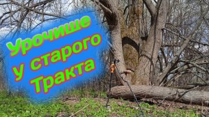 КОП 2023 .Кладоискатель.Поиск в старом УРОЧИЩЕ !!