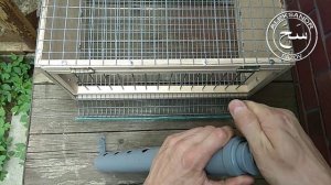 Кормушка для перепелов без разброса корма.