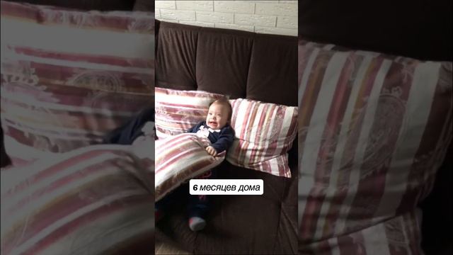 Что случилось с Софией за год смотреть онлайн