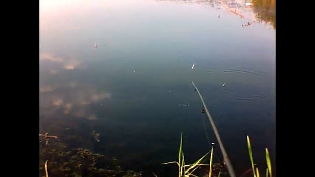 Рыбалка Гомель часть1
