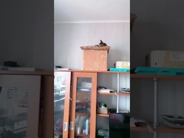 7 августа 2022 г. смотреть онлайн