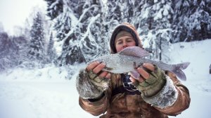 НАШЕЛ ХАРИУСОВОЕ МЕСТО!   ЧУТЬ НЕ ПОТЕРЯЛИ БУКС  Рыбалка с батей  Таежная река.mp4