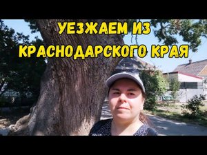Куда мы УЕЗЖАЕМ из КРАСНОДАРСКОГО КРАЯ, ПОПОЛНЕНИЕ в семействе, прогулка по АБИНСКУ