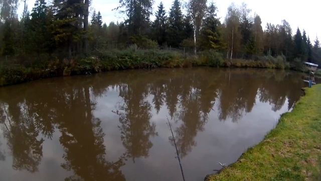 Новые платные пруды в Твери - поймал отпусти (200 рублей час) смотреть онлайн