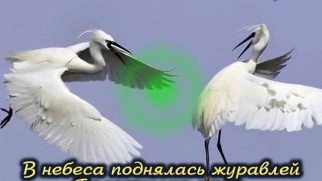 Петь песни караоке журавли. Петь песни караоке журавли. Петь песни караоке журавли. Журавли караоке. Журавли караоке.