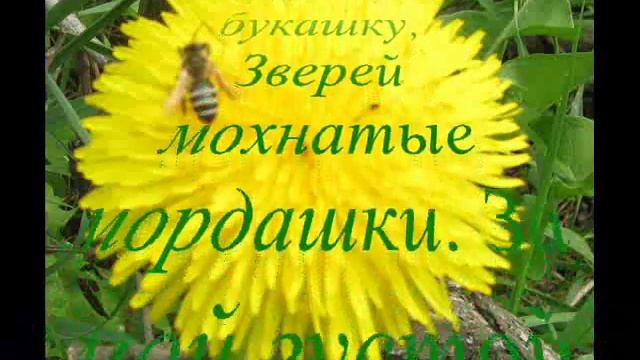 Сила благодарности смотреть онлайн