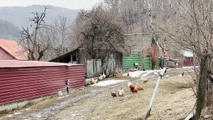 Андрюки - Станица Краснодарского края