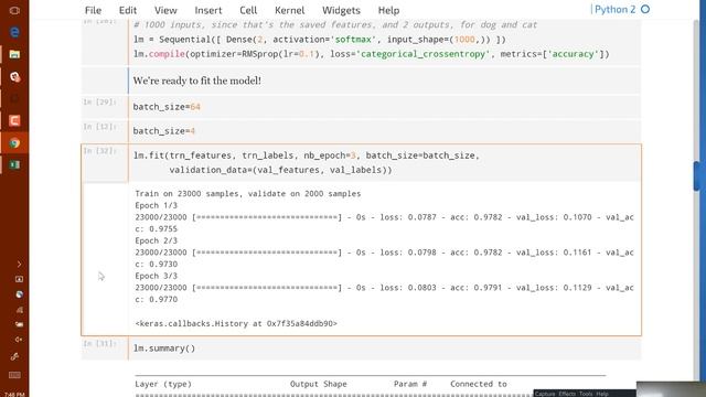 Lesson 3: Practical Deep Learning for Coders