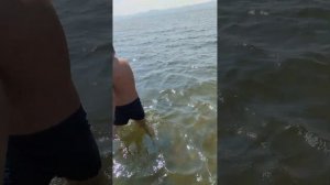 Приехал  с бабушкой в город Гусиноозерск Республики Бурятия. Покажу гусиное озеро.