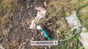 Зимний водопровод в курятник своими руками