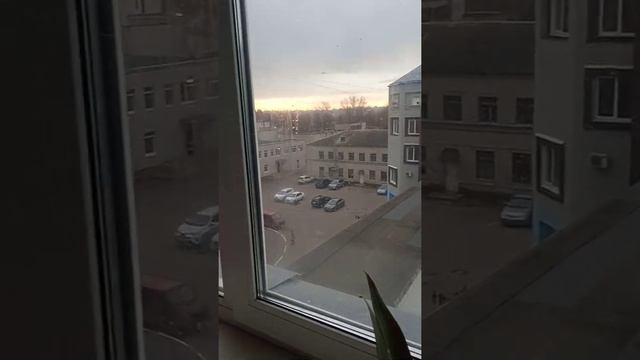 вид из окна#цветынаподоконнике