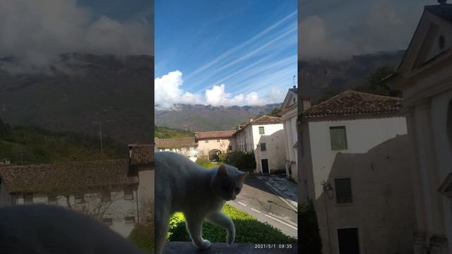 baubau@gatti смотреть онлайн