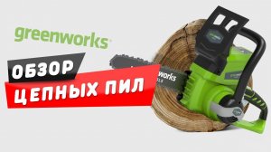 ОБЗОР ЦЕПНЫХ ПИЛ И ВЫСОТОРЕЗОВ/СУЧКОРЕЗОВ GREENWORKS 24V