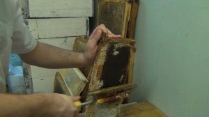 Распечатка сот  Ножи для распечатки сот Китай против Гуслия  Print SOT  Knives for printing hundred