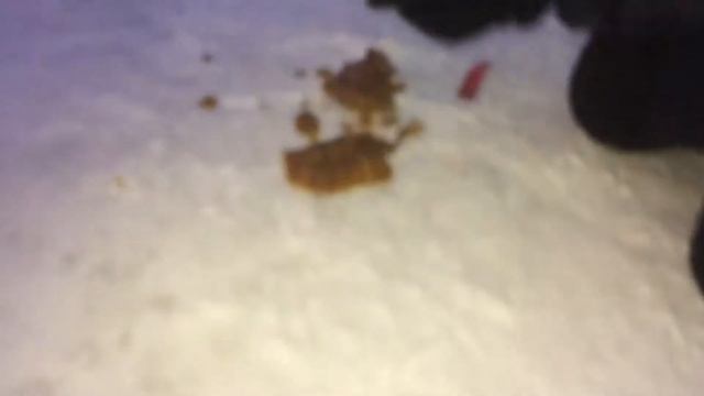 Кормы для кошек и собак смотреть онлайн