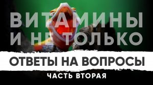 Ответы на ВАШИ вопросы. Часть 2