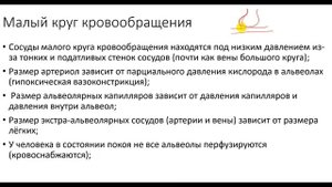 Физиология. Глава 5. Лёгкие. Особенности циркуляции кровообращения лёгких с точки зрения ССС